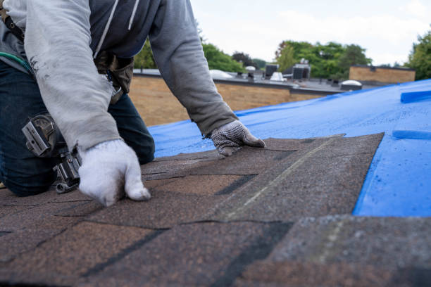 Best Roof Gutter Cleaning  in Thorsby, AL